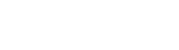 Buso Audio